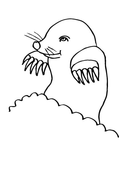 Крот раскраска