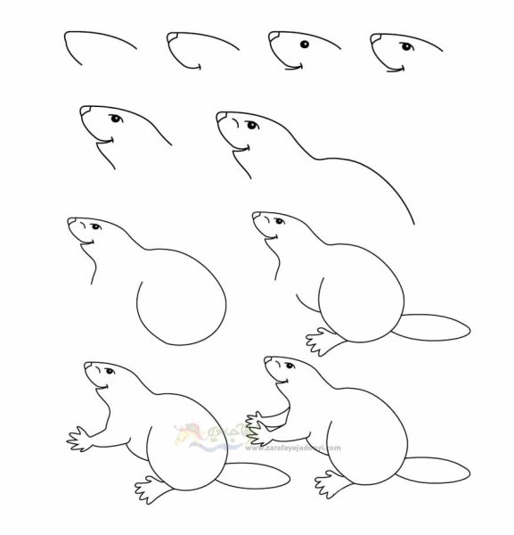 Как нарисовать бобра