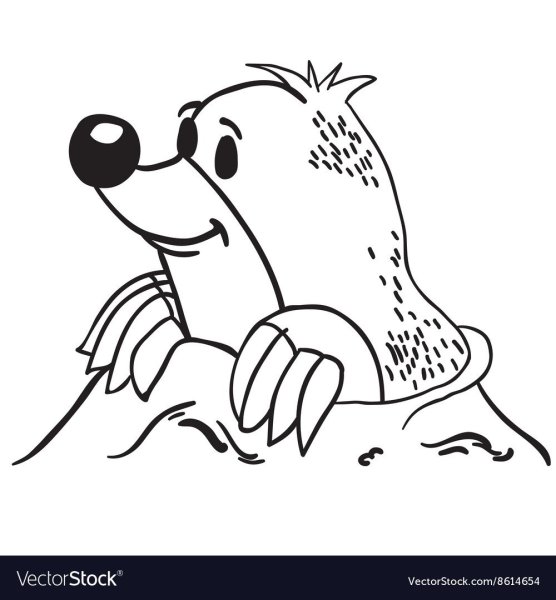 Крот раскраска для детей