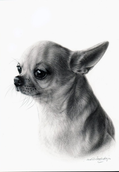 Портрет чихуа Хуа