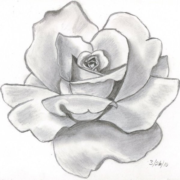 Картины для рисования карандашом