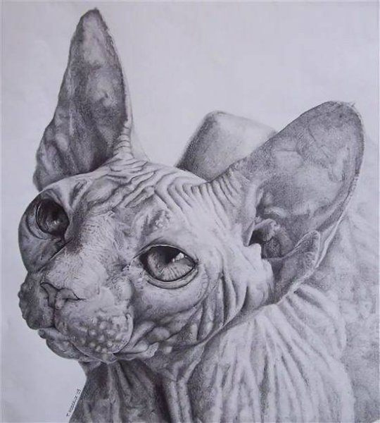 Сфинкс карандашом