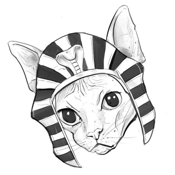 Сфинкс рисунок