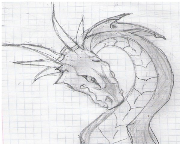 Драконы для срисовки легкие