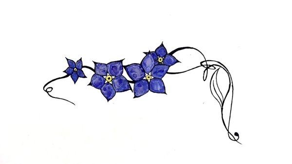 Незабудка рисунок карандашом