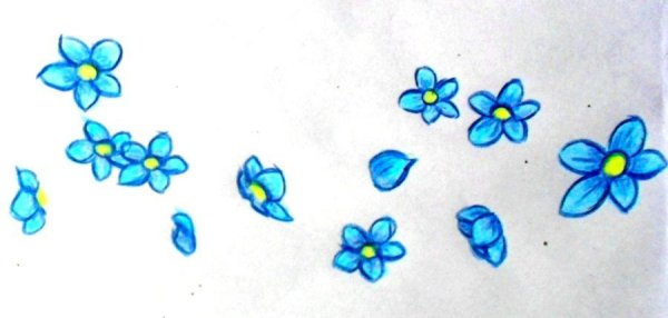 Поэтапное рисование незабудки для детей