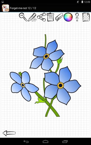 Незабудка рисунок легкий