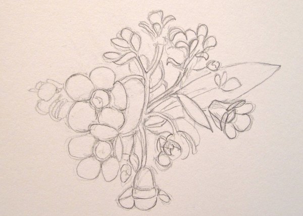 Букет цветов рисунок для срисовки легкие