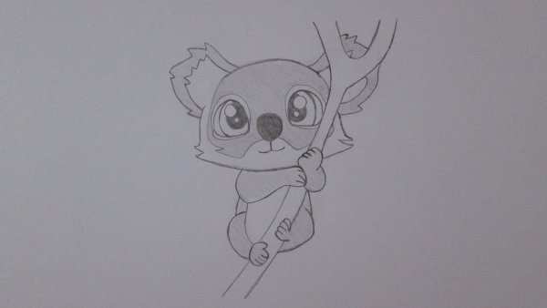 Коала рисунок для срисовки