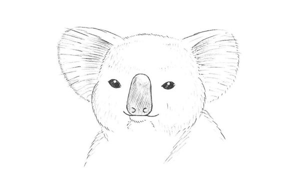 Рисунок Куалы легкий