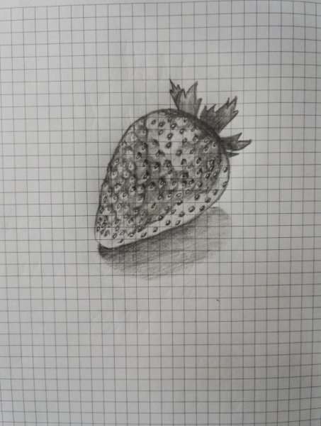 Клубника рисунок карандашом