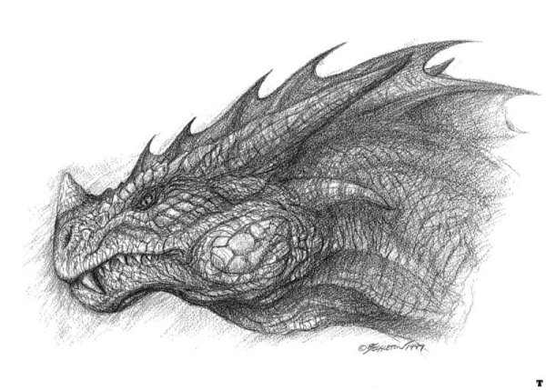 Дракон карандашом