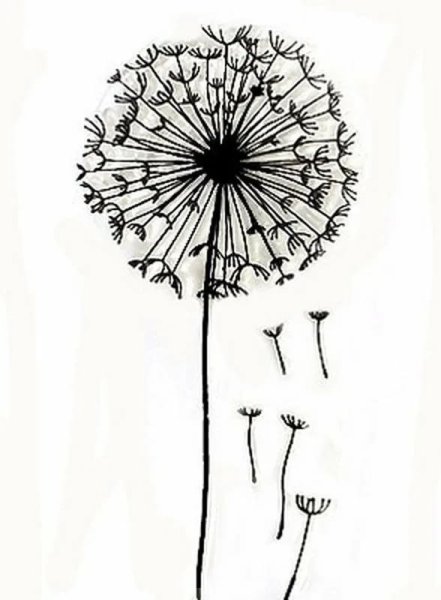 Одуванчик карандашом