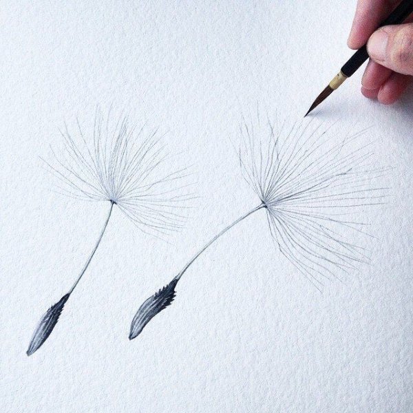 Одуванчик рисунок для детей карандашом