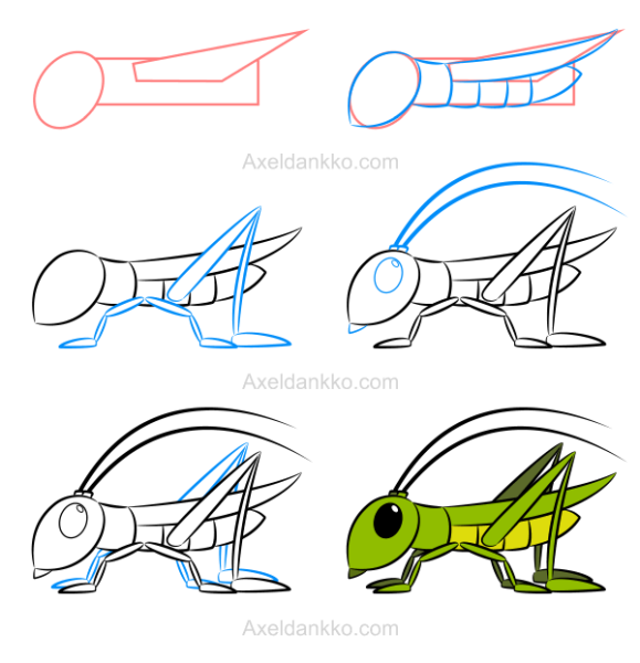 Раскраска кузнечик для малышей 2-3 лет