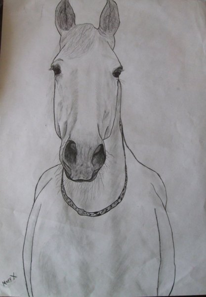 Лошадь рисунок карандашом