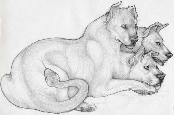 Цербер карандашом