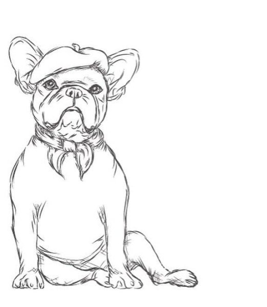 Французский бульдог карандашом