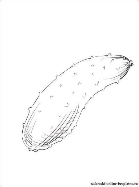 Огурец нарезанный раскраска