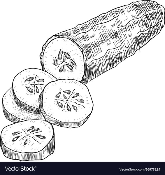 Огурец раскраска для детей