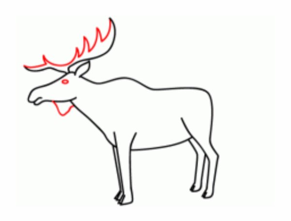 Поэтапное рисование лося