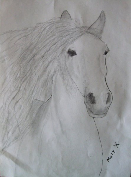 Лошадь карандашом