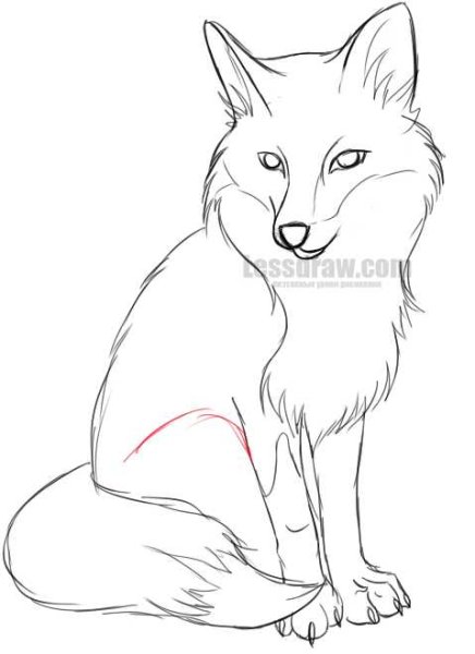 Лиса карандашом для срисовки