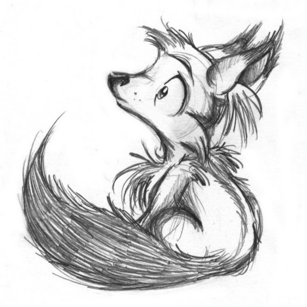 Рисунки карандашом для срисовки