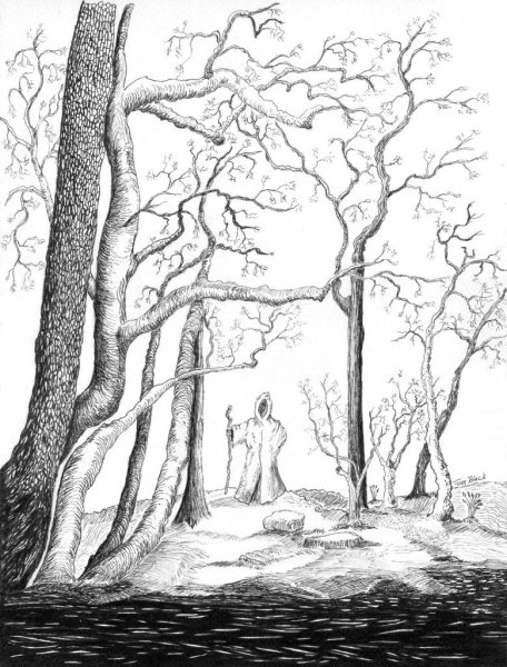 Лес карандашом