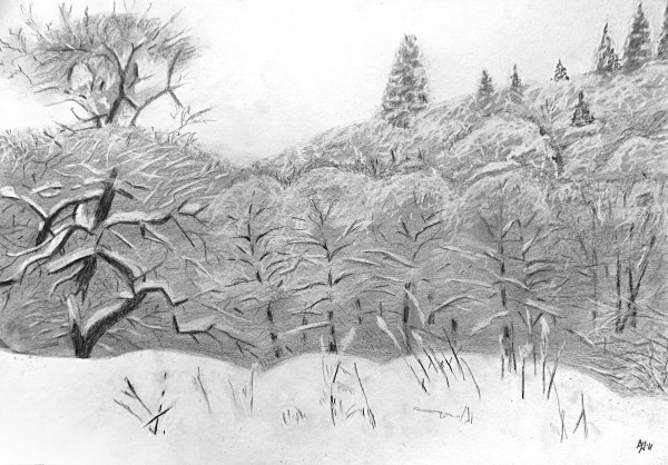 Рисунки карандашом природа