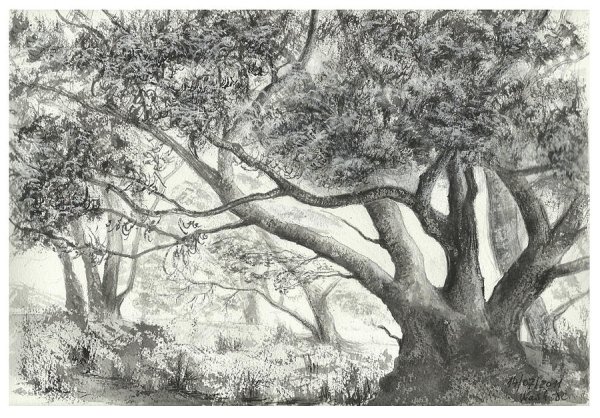 Осенний лес рисунок карандашом