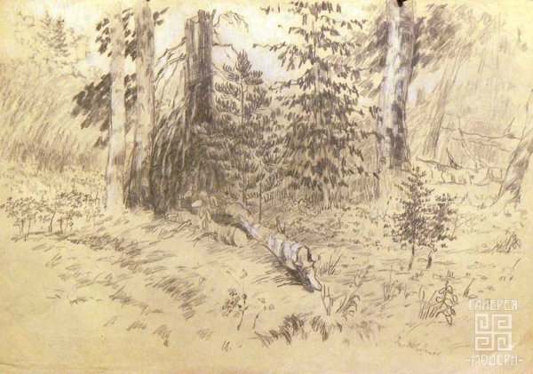 Тайга карандашом