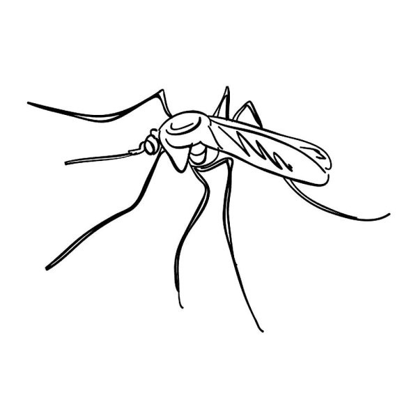 Комар раскраска для детей