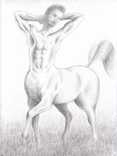 Кентавр рисунок