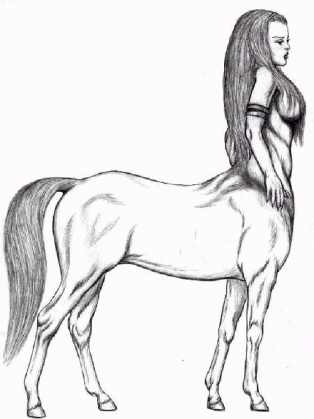 Девушка с телом лошади
