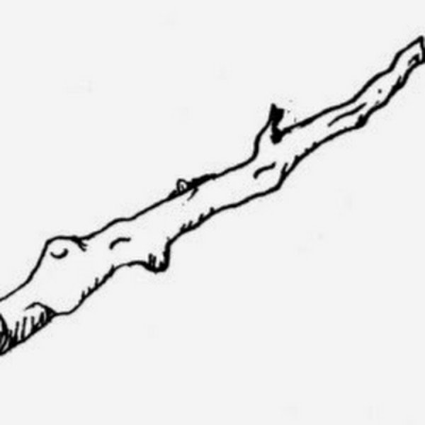 Палка раскраска