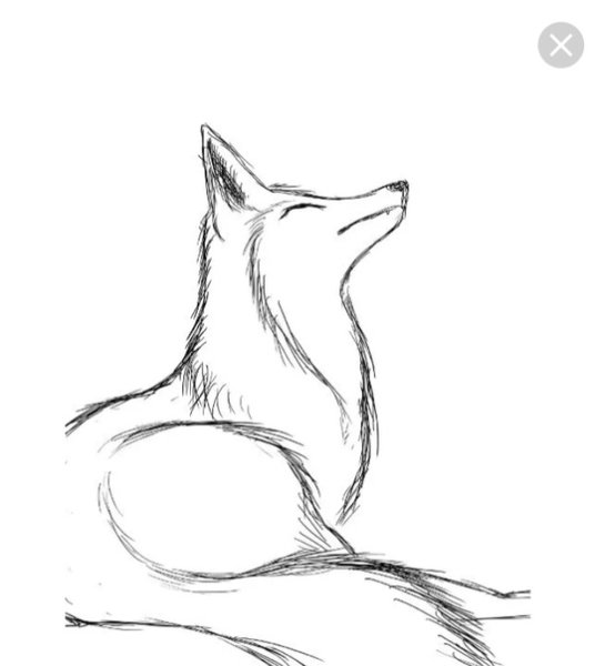 Лиса карандашом
