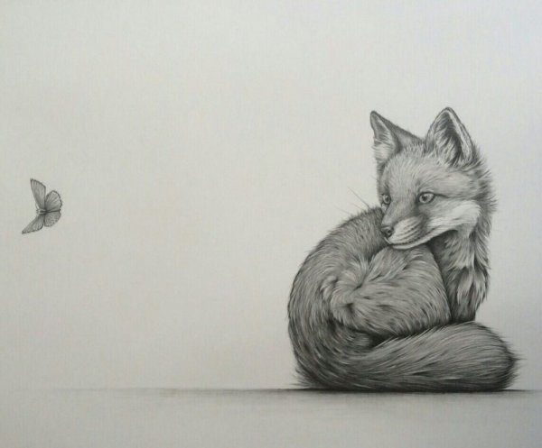 Лëгкие рисунки фломастерами лиса