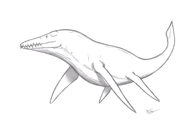 Раскраски парк Юрского периода Мозазавр