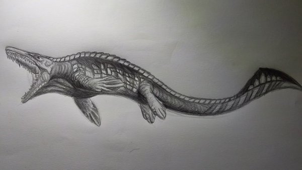 Морские динозавры раскраски