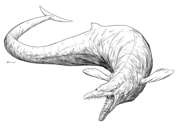 Мозазавр раскраска