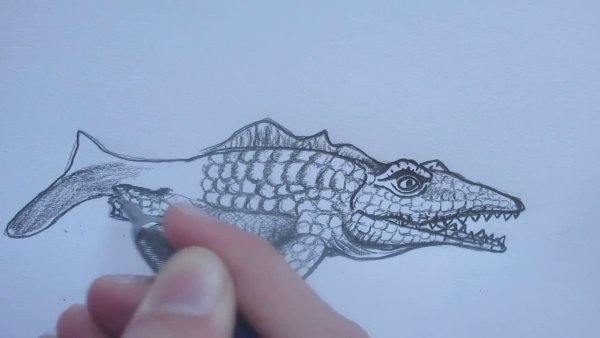 Раскраски мир Юрского периода Мозазавр