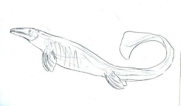 Раскраски динозавры Мозазавр