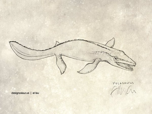 Мозазавр срисовать