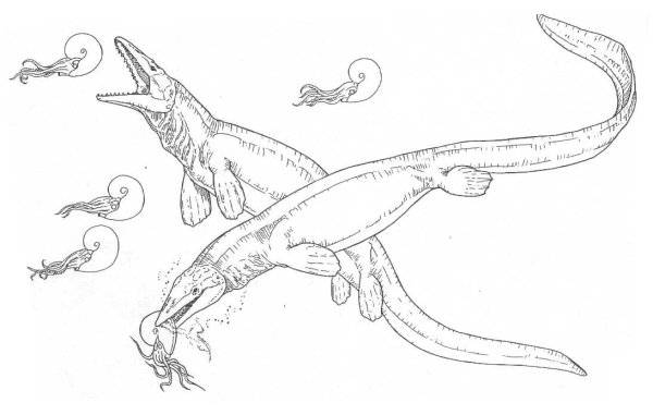 Раскраски динозавры Мозазавр