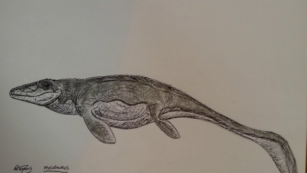 Нарисовать МОЗАЗАВРА