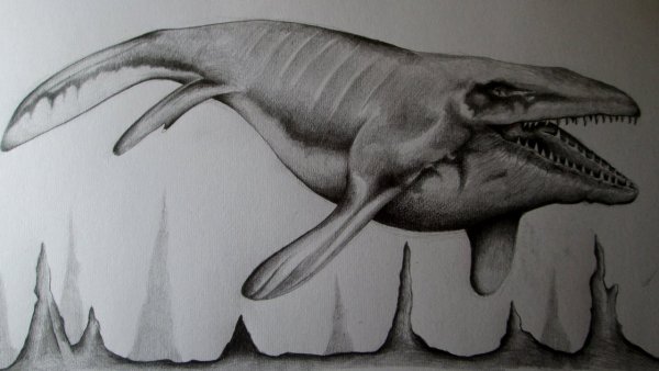 Плезиозавр тату