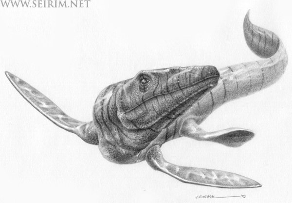 Мозазавр раскраска с названиями