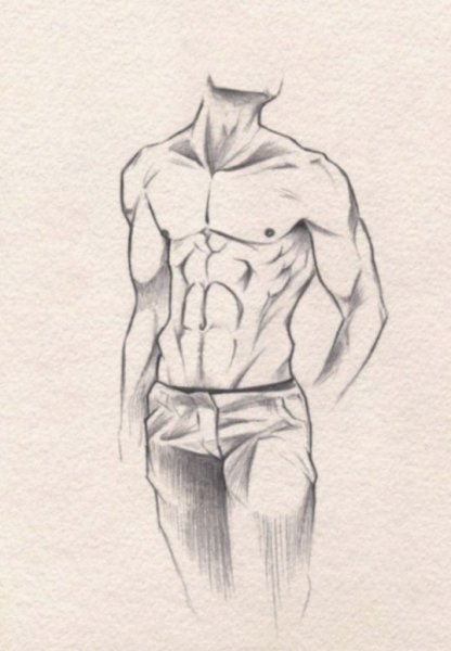 Мужской торс набросок