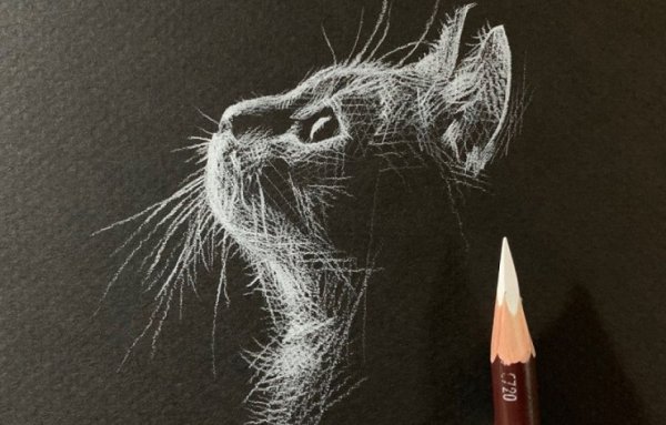 Рисунки белым карандашом